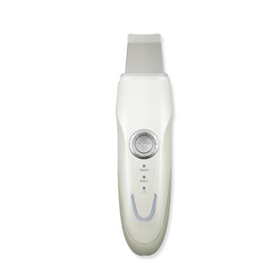 China Silver Ion Cleanser Beauty Product Skin Face Lift Ultrasonic Scrubber Beauty Instrument for sale