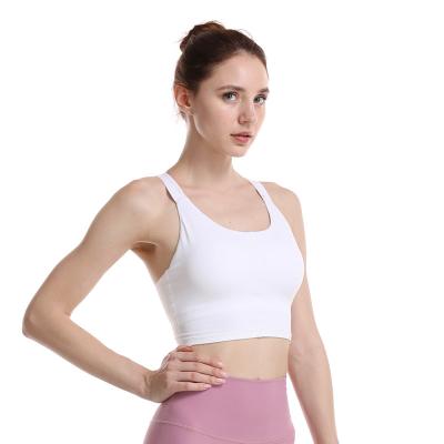 China Wholesale Women's Breathable Yoga Bra With Top Pockets Sports Bra Fitness High Print Custom Made Shorts for sale