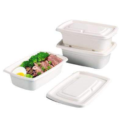 China Microwavable and Biodegradable Paper Packaging Box Lunch Boxes for Packiging Disposable Bagasse Airtight Food Container for sale