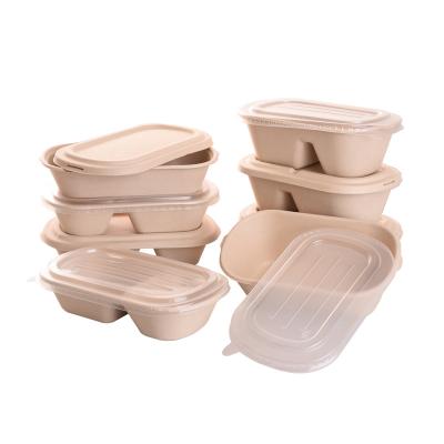 China Disposable Disposable Tableware Paper Pulp Food Container 500ml 700ml 800ml 1000ml Customized Takeout Box for sale