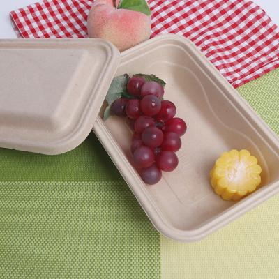 China Disposable Eco-friendly Food Tableware Paper Pulp Food Container Takeout Box With Lid for sale