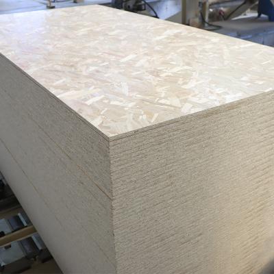 China Contemporary high quality osb 12mm osb 15 mm osb 1220*2440mm 9/12/15/18mm for sale