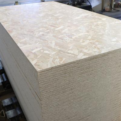 China Modern High Quality Oriented Strand OSB CHINA 12MM OSB BOARD DECOR OSB BOARD for sale