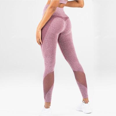 China Tight Pants Mesh Stitching Seamless Gym Yoga Leggings Women Sports Antibacterial Energy Lift Up Gaiters Yoga Pants OEM for sale