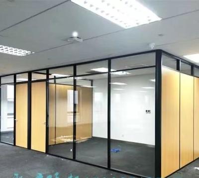 China Easy Installation Factory Wholesale 10mm Thick Sound Proof Aluminum Office Partition Doors for sale