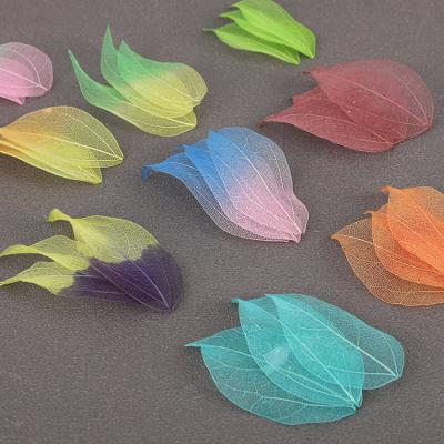 China Designs Starflower DIY Supply Real Contact Preserved Leaf Rib Bookmark for sale