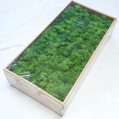 China 2021 wholesale environmental protection flower hot sale natural preserved moss green for home wall decoration for sale