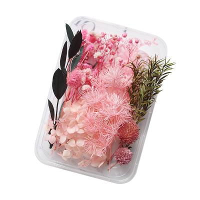 China Real Environmental Dry Preserved Flower Material Package DIY Flowers All Kinds For Manual Creation Materials for sale