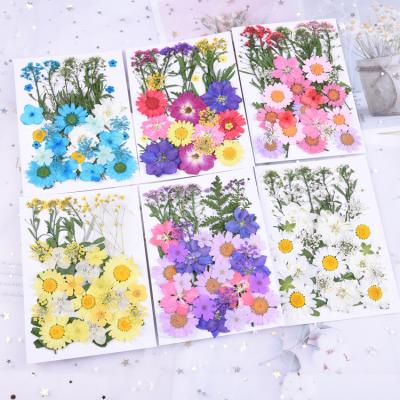 China Environmental Dried Flower Press Materials DIY Dried Pressed Flowers For Resin for sale