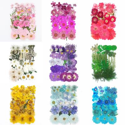 China 2021 Environmental New Products Dry Pressed Flowers For Resin for sale