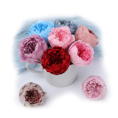 China Wholesale A Environmental Grade 4-5cm Preserved Mini Rose Head Austin For Flower Arrangements for sale