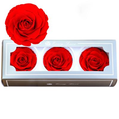 China Factory Environmental Supply A Grade 7-8cm Preserved Rose Head For Decorative Flowers And Garlands for sale