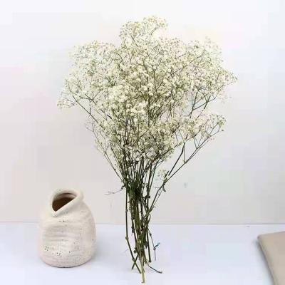 China Yunnan wholesale hot sale beautiful colorful preserved flowers preserved babysbreath for indoor decoration for sale