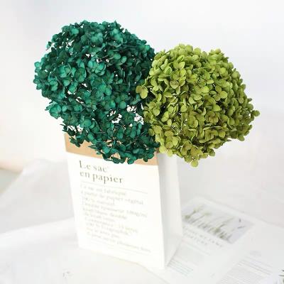 China Flower Bouquets Decoration Australia Top Selling Preserved Flowers Preserved Hydrangea Flowers For Bouquet Of Flower Arrangement for sale