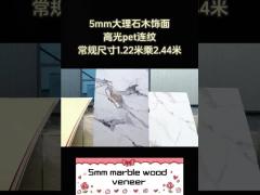 Bamboo Charcoal Wood Veneer PET Marble Texture Decorative PVC Wall Panel PET Wall Board