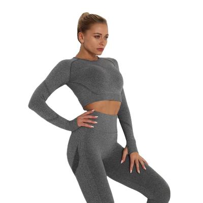 China Gym Fitness Womens Tee Women Workout Crop Shirt Breathable Sporty Seamless Long Sleeve Top Fitness Tight Top for sale