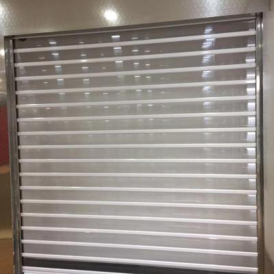 China Modern Auto Clear Polycarbonate PC Roller Shutter for sale