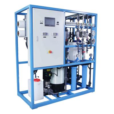 China Hotels Seawater Desalination Treatment Plant Reverse Osmosis System for sale