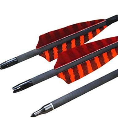 China 31inch Carbon Arrow Archery Hunting Arrow Hunting With Real Feather for sale