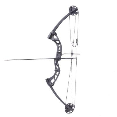 China Durable Compound Compound Practice Bow Archery Hunting Competition Outdoor Shooting for sale