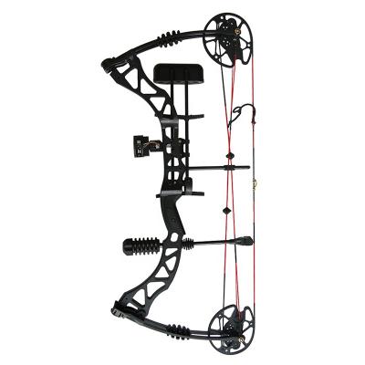 China Mechanical Bow Competitive Archery 35-70lbs Outdoor Fish Compound Shooting Suit Outdoor Mechanical Bow for sale