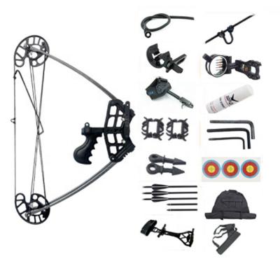 China Hunting Hunting Arrow and Bow Archery Shooting Training Fishing Bow Set Triangle Compound Bow Set for sale