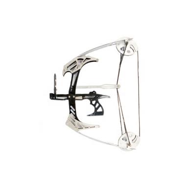 China Mini Archery Compound Bow 25lbs Hunting Durable Adult Shooting Fishing Bow for sale