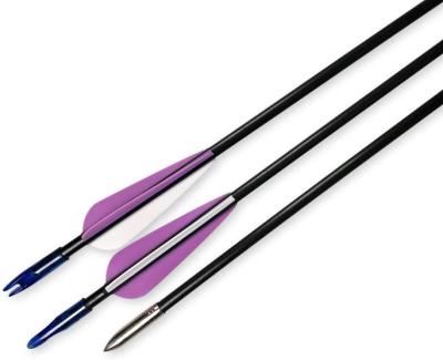 China 26inch 28inch 30inch Fiberglass Shaft OD 6mm Archery Target Arrow Shooting Youth Recurve Bow Fiberglass Arrow for sale