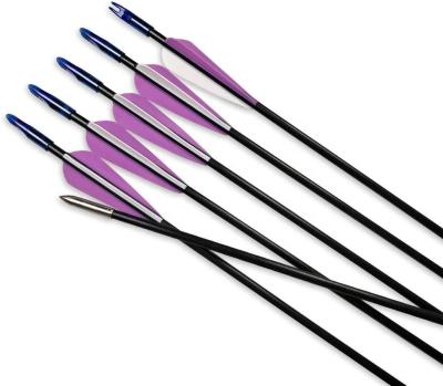 China Durable 26inch 28inch 30inch Arrows Are Used For Hunting Practice Youth Recurve Bow Archery Fiberglass Arrows for sale