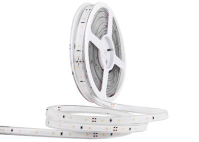 China IP20 5M SMD 3014 LED Strip Single Color For Building Decoration 6000K for sale