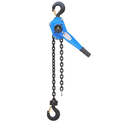 China Portable And Powered Goods 0.8T 1.6T 3T 3.2T 6T 9T Lift Chain Hoist Hoist Manual Winch Lever Block for sale