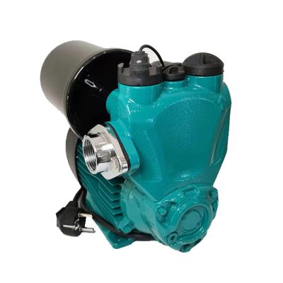 China Automatic self-priming washing and cleaning small clean cast iron water pump for sale