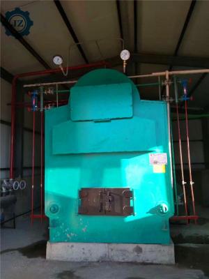 China Industrial Horizontal Wood Biomass Coal Fired Steam Boiler Price For Hospital,Medicine for sale