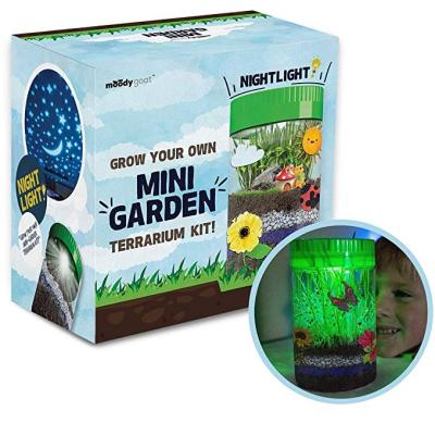 China Kids Toys For Children DIY Customized Toys Mini Garden Plant Grow Mini Greenhouse Kit For Kids for sale