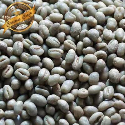 China Raw green beans -1Pound - raw arabica coffee beans for trial sample 17-18 for sale