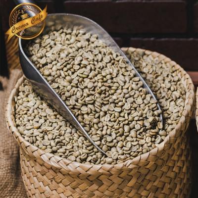 China Commercial Green Arabica Coffee Level2A Bean OEM Packing 15-16 for sale