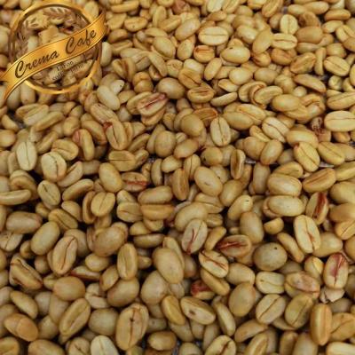 China Specialty Grade Single Arabica Coffee Beans For Trial Order-1Pound Green Beans for sale