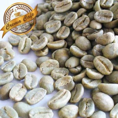 China The best price of coffee beans - raw arabica coffee beans in bulk 13-14 for sale