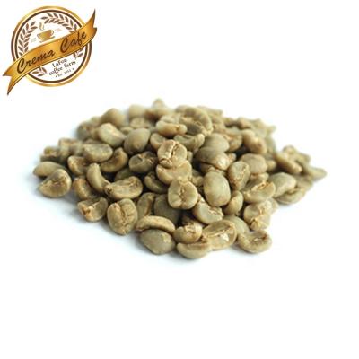 China Commercial Green Arabica Coffee Beans Level3A Coffee Bean OEM Packing 17-18mm for sale