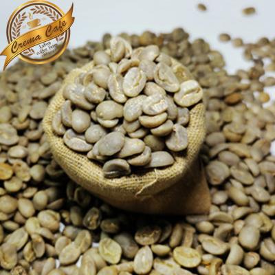 China The best price of coffee beans - raw arabica coffee beans in bulk 15-16 for sale