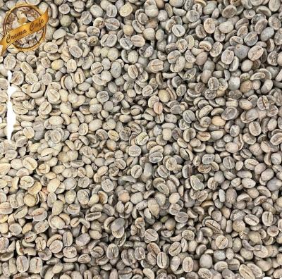 China 1Pound raw arabica coffee beans for 12-13 test sample for sale