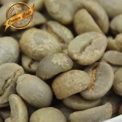 China 1Pound raw arabica coffee beans for 13-14 test sample for sale