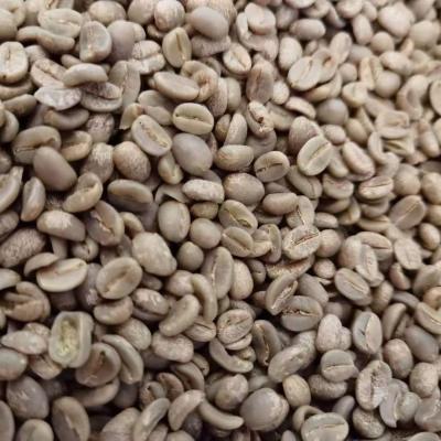 China Arabica Specialty Coffee Beans LaFon Coffee Farm CTM-01 for sale