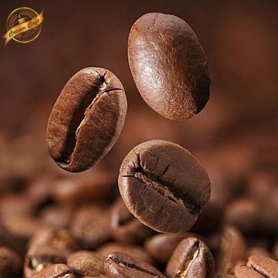 China Brew Large Coffee Beans Specialty Tasting Arabica Roasted Coffee Beans for sale