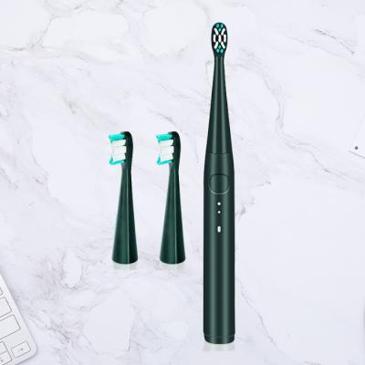 China Powerful Clean Drop Shipping Portable Electric Toothbrush With Small Head Vibrator Travel Smooth Slim Customizable Suppliers for sale