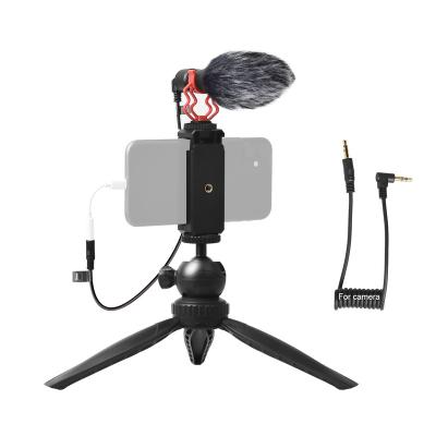 China External Microphone Kit With Foldable Mic Handheld Microphone Video Recording Stand For Vlogging/Interview for sale