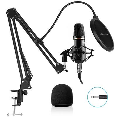 China 2021 wholesale professional hot-selling recording device condenser microphone mixer L02-50A cable manufacturers for sale