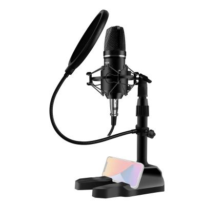 China Professional Metal Voice Recording Usb Condenser Studio Microphone Kit With Microphone Stand Set L02-50A for sale