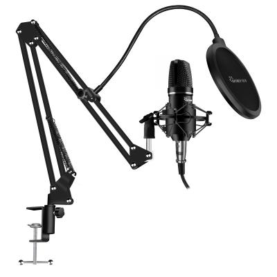 China Condenser XLR Studio Microphone Kit Laptop Cardioid Condenser Mic With Metal Microphone Stand L02-50A for sale