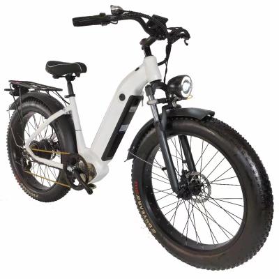 China China Professional Manufacture Aluminum Alloy Nice Price Adult E Bikes Electric Bicycle for sale